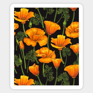 California poppies 2 Sticker